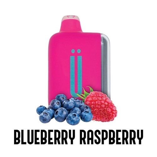 North Disposable Vape Blueberry Raspberry Smuth 20k Disposable Vape (5%, 20000 Puffs)